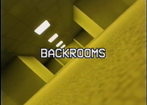 The Backrooms