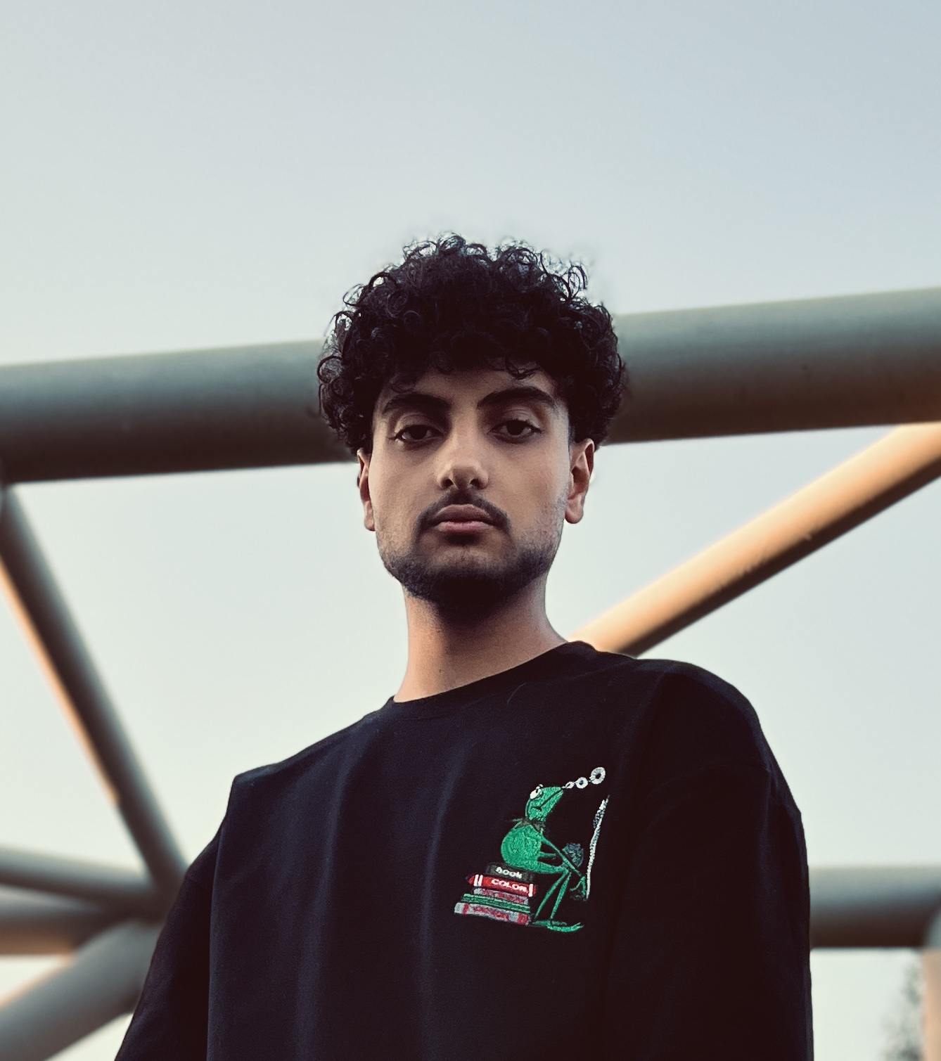 ابوالفضل محمدی